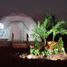  Land for sale in Jerecuaro, Guanajuato, Jerecuaro
