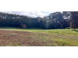  Land for sale in Rionegro, Antioquia, Rionegro