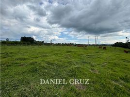  Land for sale in Popayan, Cauca, Popayan