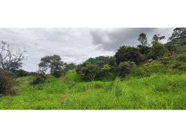  Land for sale in La Mesa, Cundinamarca, La Mesa