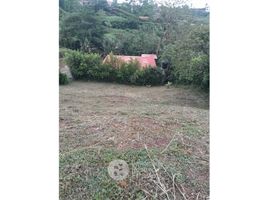  Terrain for sale in Neira, Caldas, Neira