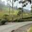  Grundstück zu verkaufen in Medellin, Antioquia, Medellin, Antioquia