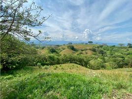  Land for sale in Pereira, Risaralda, Pereira