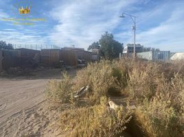  Terreno (Parcela) en alquiler en Antofagasta, Calama, El Loa, Antofagasta