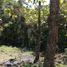  Land for sale in Sona, Veraguas, Guarumal, Sona