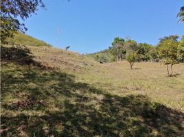  Land for sale in Guarumal, Sona, Guarumal