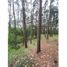 Terrain à vendre à Villa Gesell, Buenos Aires, Villa Gesell