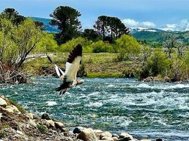  Grundstück zu verkaufen in Malleco, Araucania, Lonquimay, Malleco, Araucania, Chile