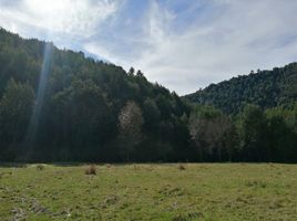  Terrain for sale in Chiloe, Los Lagos, Castro, Chiloe