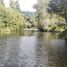  Terrain for sale in Chiloe, Los Lagos, Castro, Chiloe