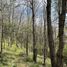  Land for sale in San Ignacio, Nuble, San Ignacio