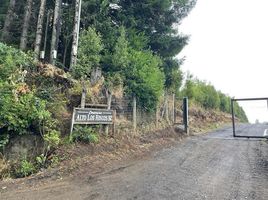  Grundstück zu verkaufen in Cautin, Araucania, Pucon