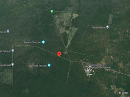  Terreno (Parcela) en venta en Merida, Yucatán, Merida, Yucatán