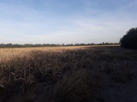 Studio Haus zu verkaufen in Quitilipi, Chaco, Quitilipi