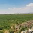  Land for sale in Zempoala, Hidalgo, Zempoala