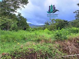  Grundstück zu verkaufen in Boquete, Chiriqui, Alto Boquete