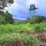  Terrain for sale in Jungla de Panama Wildlife Refuge, Palmira, Alto Boquete