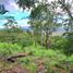  Terrain for sale in Jungla de Panama Wildlife Refuge, Palmira, Alto Boquete