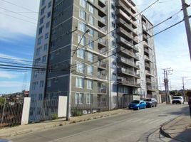 3 Habitación Apartamento en venta en Valparaíso, Valparaiso, Valparaíso, Valparaíso