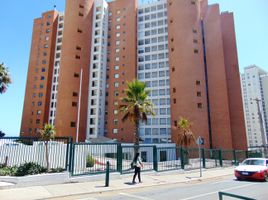 3 Habitación Apartamento en venta en Valparaíso, Viña del Mar, Valparaíso, Valparaíso