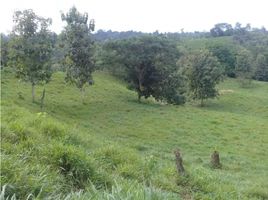  Terreno (Parcela) en venta en Manabi, El Carmen, El Carmen, Manabi