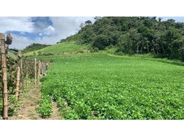  Terreno (Parcela) en venta en Garcia Moreno (Llurimagua), Cotacachi, Garcia Moreno (Llurimagua)