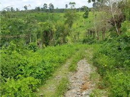  Terreno (Parcela) en venta en Santo Domingo de los Tsachilas, Plan Piloto, La Concordia, Santo Domingo de los Tsachilas