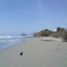  Land for sale in Muisne, Esmeraldas, Muisne, Muisne