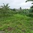  Land for sale in Santo Domingo, Santo Domingo De Los Tsachilas, Santo Domingo De Los Colorados, Santo Domingo