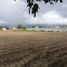  Land for rent in Tumbaco, Pichincha, Tumbaco, Quito, Pichincha