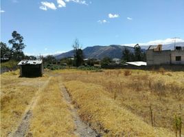  Terreno (Parcela) en alquiler en Pichincha, Tumbaco, Quito, Pichincha