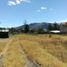  Land for rent in Tumbaco, Pichincha, Tumbaco, Quito, Pichincha