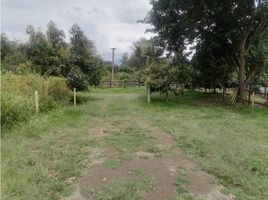  Terreno (Parcela) en alquiler en Pichincha, Tumbaco, Quito, Pichincha