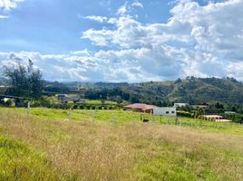  Land for sale in Turi, Cuenca, Turi