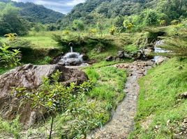 2 Bedroom House for sale in Tungurahua, Banos De Agua Santa, Banos De Agua Santa, Tungurahua