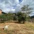 5 Bedroom House for sale in Ricaurte, Cuenca, Ricaurte