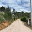  Land for sale in Tarqui, Cuenca, Tarqui