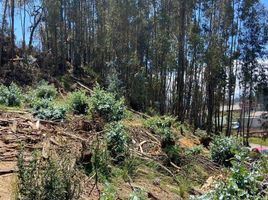  Terreno (Parcela) en venta en Cathedral of the Immaculate Conception, Cuenca, Cuenca, Cuenca