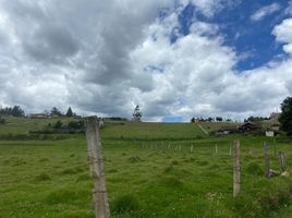  Terreno (Parcela) en venta en Tarqui, Cuenca, Tarqui