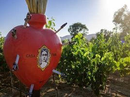  Grundstück zu verkaufen in Ensenada, Baja California, Ensenada