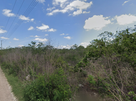  Grundstück zu verkaufen in Conkal, Yucatan, Conkal