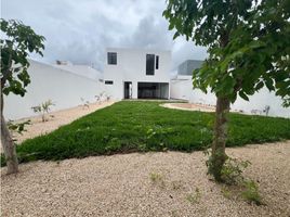 Maison 3 chambre à vendre à Conkal, Yucatan, Conkal