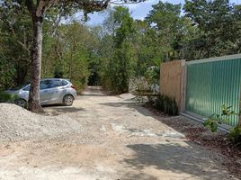  Terreno (Parcela) en venta en Cozumel, Quintana Roo, Cozumel