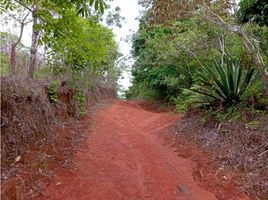  Terreno (Parcela) en venta en Macaracas, Los Santos, Espino Amarillo, Macaracas