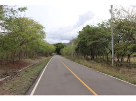  Land for sale in Cocle, Guzman, Nata, Cocle