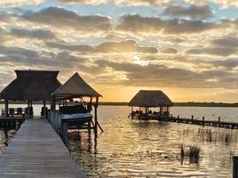  Grundstück zu verkaufen in Othon P Blanco, Quintana Roo, Othon P Blanco