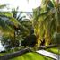  Grundstück zu verkaufen in Othon P Blanco, Quintana Roo, Othon P Blanco