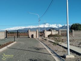  Land for sale in Lujan De Cuyo, Mendoza, Lujan De Cuyo