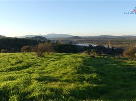  Land for sale in Itata, Nuble, Ranquil, Itata