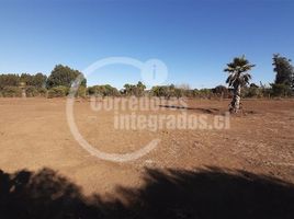  Land for sale in Santo Domingo, San Antonio, Santo Domingo